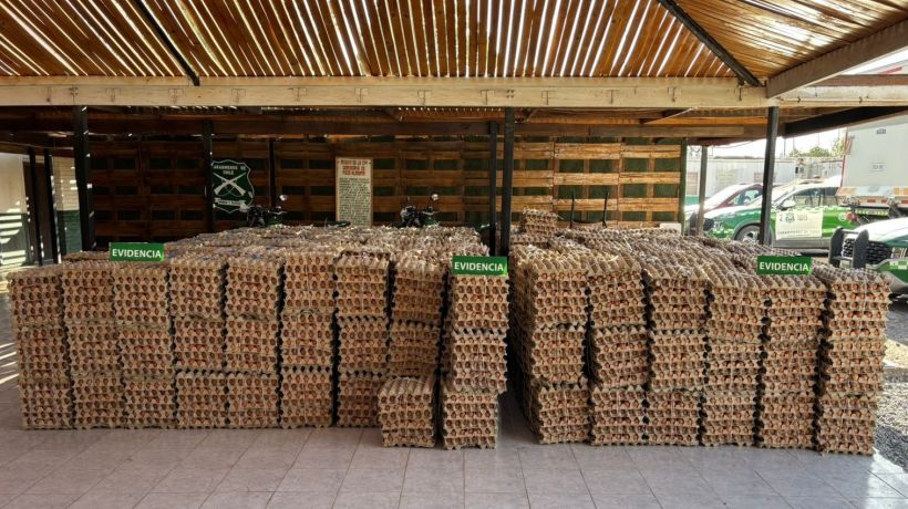 Decomisan más de 125 mil unidades de huevos de contrabando en Tarapacá: tres detenidos