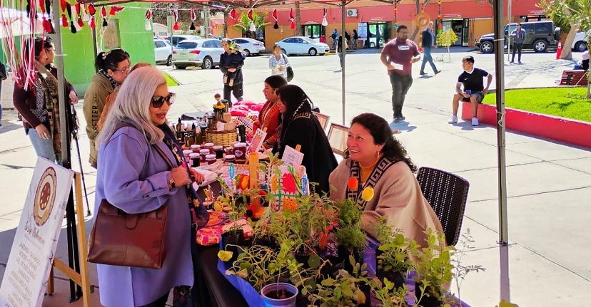 Pueblo diaguita de Copiapó convoca a elección para definir a su representante ante consejo de la Conadi