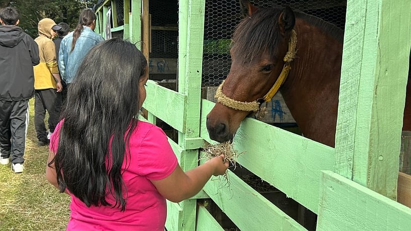 Campo de Ancud está de fiesta en el Parque Municipal Bellavista