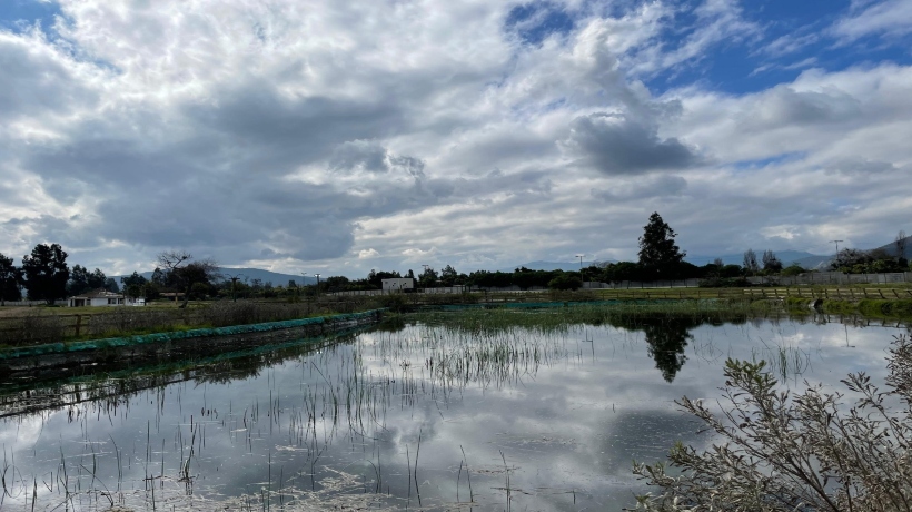 La Cruz: proyecto de Parque Urbano Poza Cristalina obtiene Recomendación Satisfactoria y avanza hacia su financiamiento
