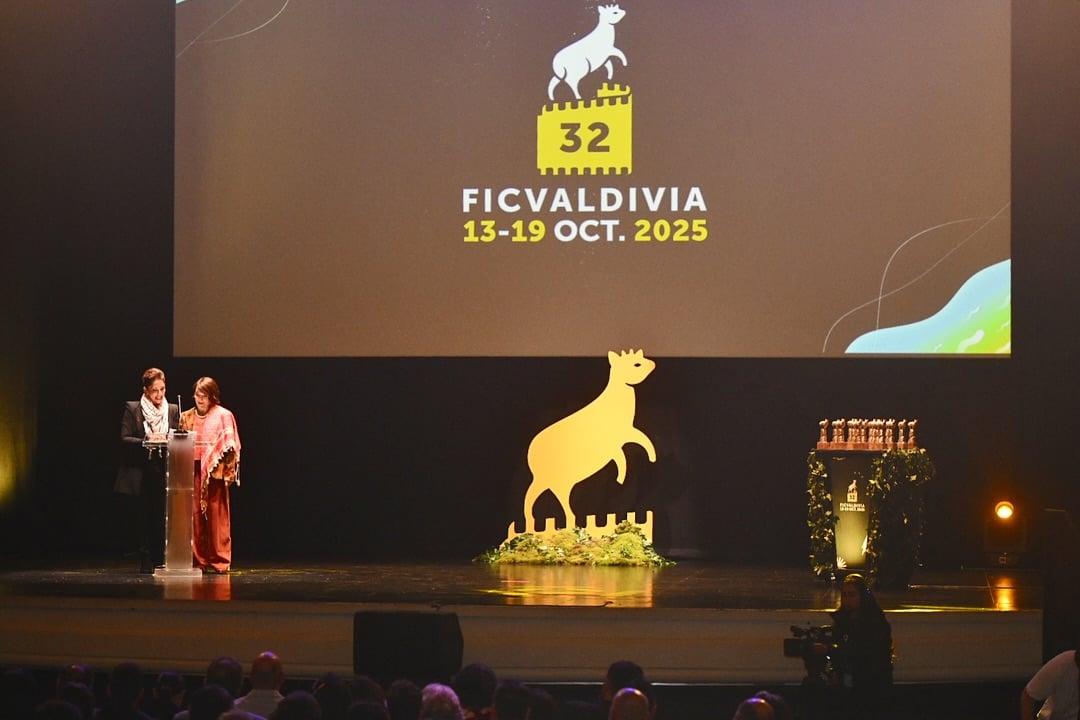 Analizan potencialidades de Valdivia para ser postulada como Ciudad Creativa de la Unesco