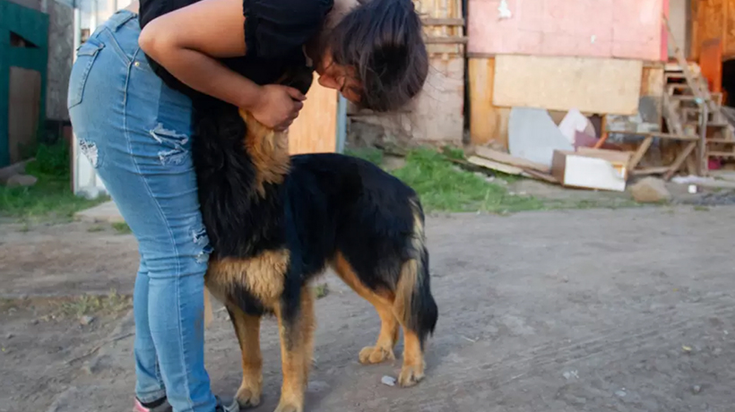 Familias de megatoma en San Antonio rechazan albergue: denuncian que es insuficiente y que no les permiten ingresar con sus mascotas