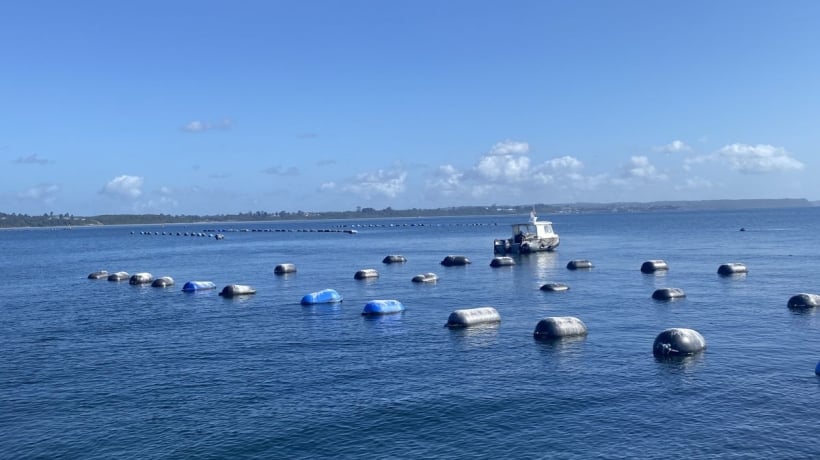 Centro de cultivo de mitílidos fue hallado operando sin resolución ambiental en Puerto Montt