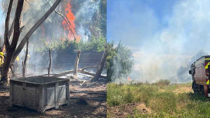 La Calera: incendio forestal afectó a la comuna en el sector de Artificio
