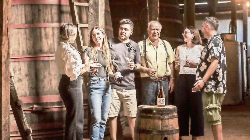 Viñas de Ñuble experimentan alza de visitantes nacionales y extranjeros