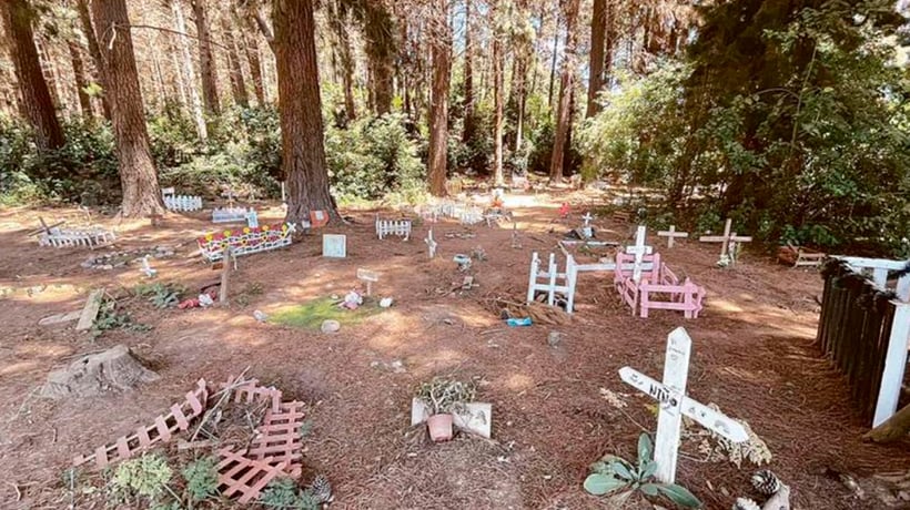 Cementerio clandestino de mascotas preocupa a Placilla