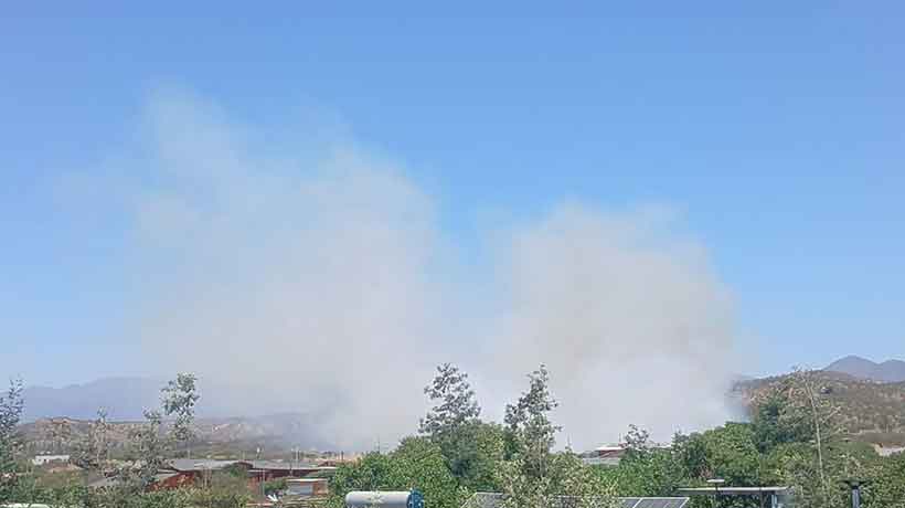 [VIDEO] Alerta Roja por incendio forestal: Senapred pide evacuar Limachito y Condominio Limache