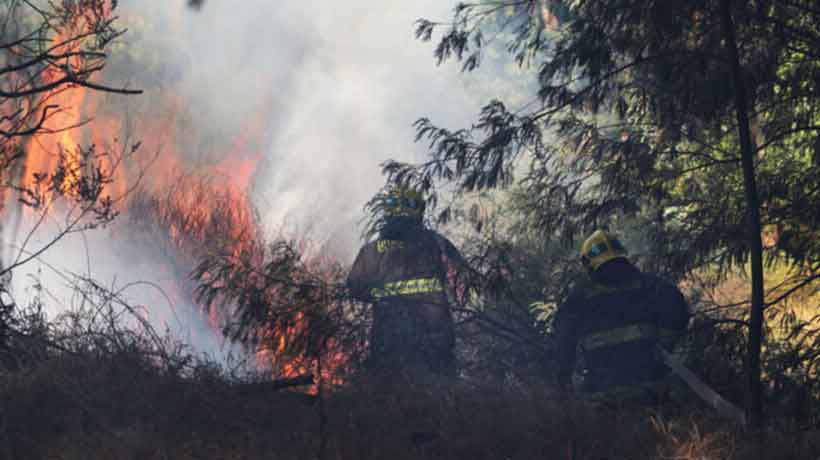 “Para proteger tu salud”: las recomendaciones ante presencia de humo por incendio en Limache