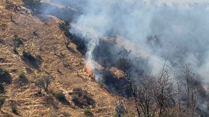 [VIDEO] Alerta Roja por incendio en Limache: una bodega afectada y 70 hectáreas consumidas
