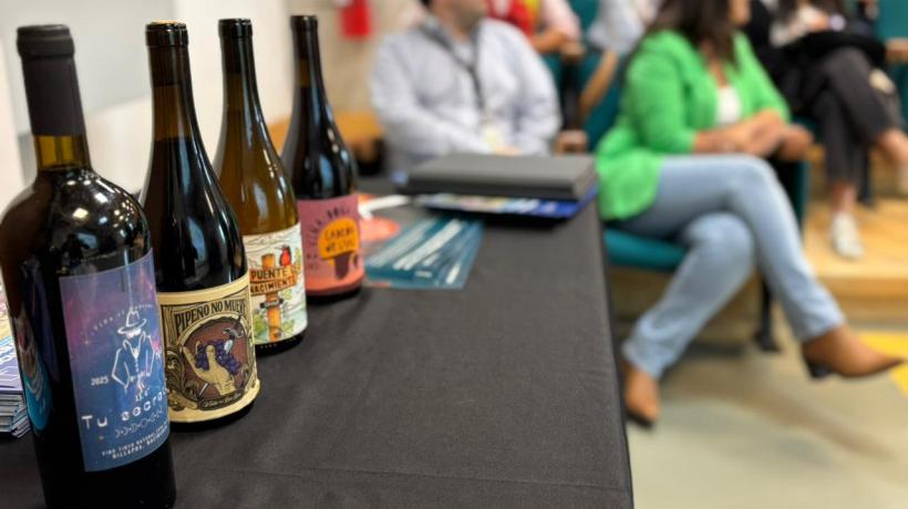 Avanza iniciativa para que vinos de siete comunas del Biobío reciban Denominación de Origen