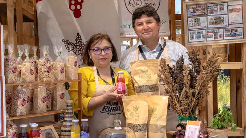 Este fin de semana llegará la Expo Regional de Agricultores y Artesanos a la Quinta Vergara