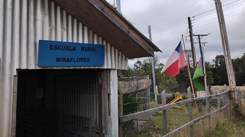 Cierran escuela en Chonchi por plaga de murciélagos y agua insalubre