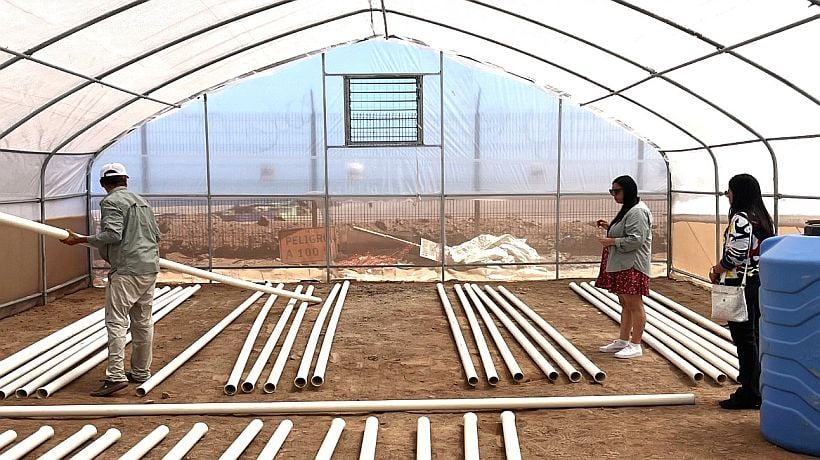 Regarán hortalizas y flores de corte con agua de mar en sector costero de Chanavayita