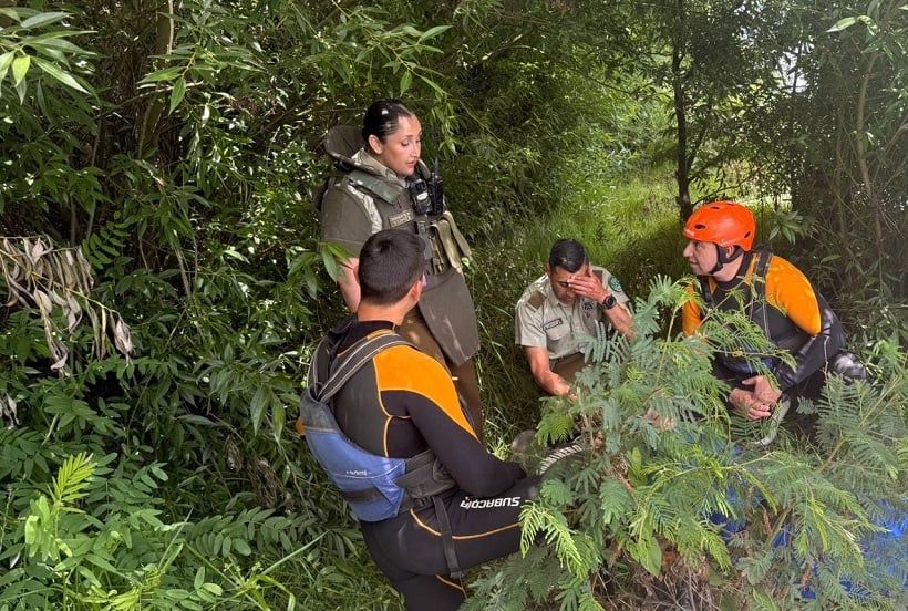 Carabineros rescata a mujer que se lanzó al río Cautín desde el puente Treng Treng Kai Kai