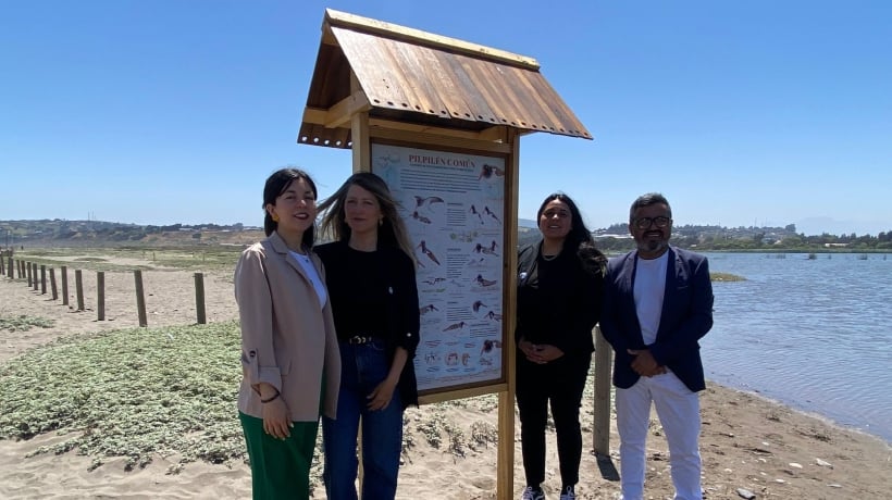 Refuerzan monitoreo ciudadano para proteger al pilpilén en la desembocadura del río Aconcagua
