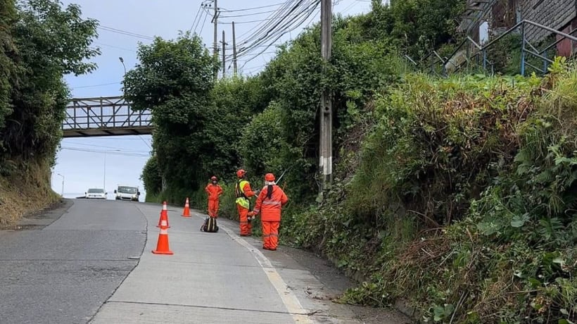 Realizaron labores de corte de pasto y desmalezado en distintos sectores de Puerto Montt