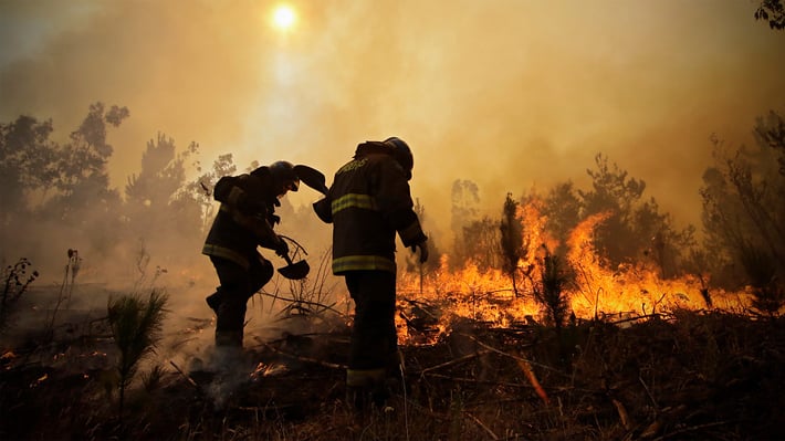 Brindarán cobertura policial a brigadistas que trabajen en labores de combate de incendios forestales