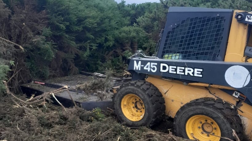 Eliminaron chacay para crear cortafuegos preventivos en sectores de Alerce