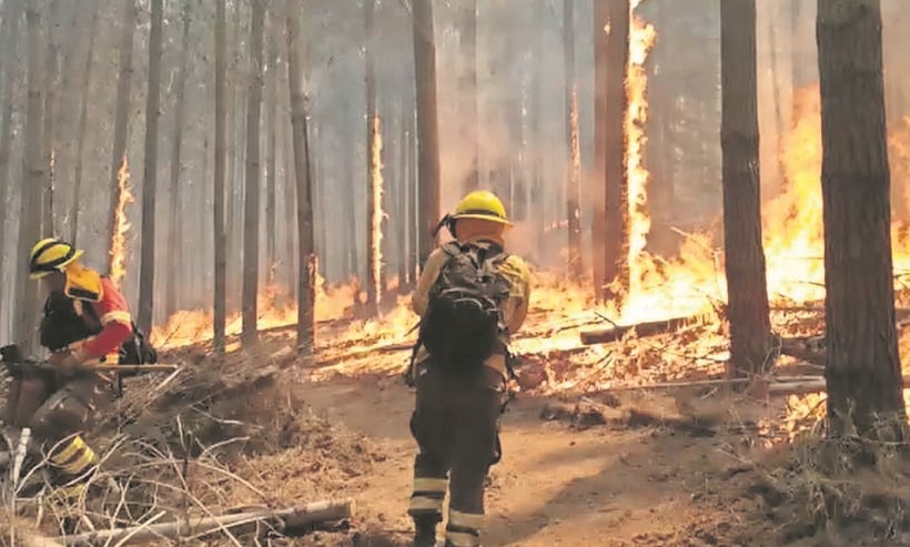 Multigremial de La Araucanía emite alerta por riesgo de incendios intencionales