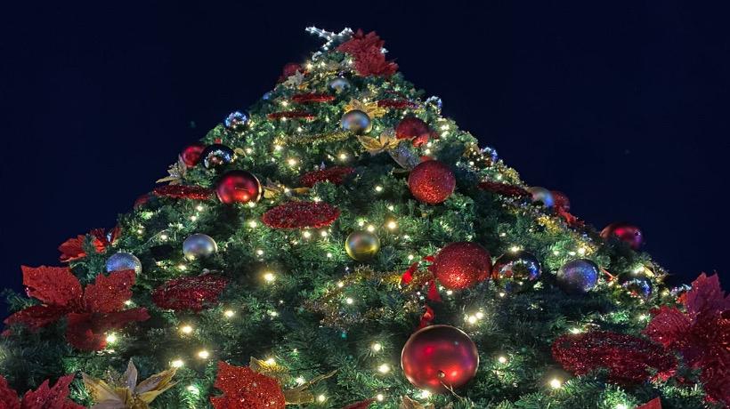 Calbuco encendió las luces de su gran árbol de navidad