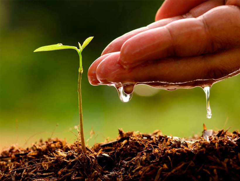 Comisión Nacional de Riego inicia proyecto hídrico junto con incentivar la agroecología en La Araucanía