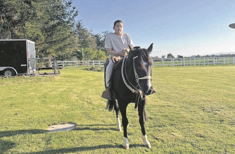 Falleció Martín, hijo de joven valdiviana que caminó hasta Santiago para intentar salvarlo
