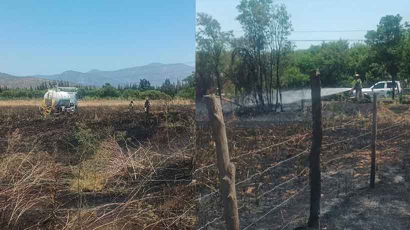 Incendio forestal en Olmué fue controlado: llaman a la prevención ante altas temperaturas