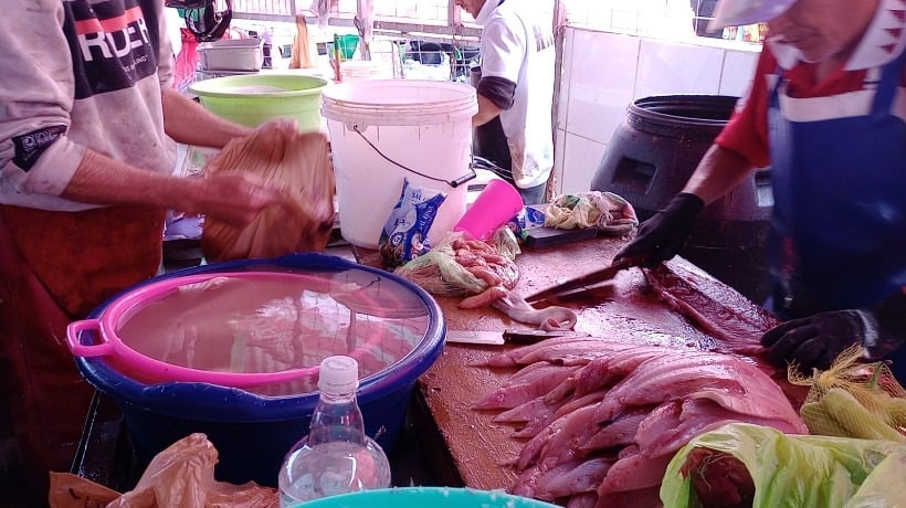 Seremi de Salud inicia cuatro sumarios sanitarios en pescaderías de la Feria Las Pulgas