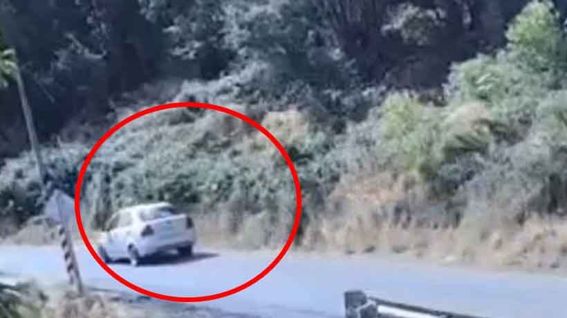 [VIDEO] Cámara captó momento en que bombero habría arrojado elemento incendiario a pastizales en La Cruz