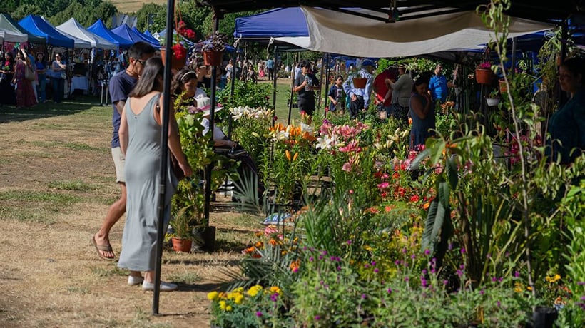 “Expo Flores y Plantas 2025” se realizará en el Parque Cuarto Centenario de Osorno