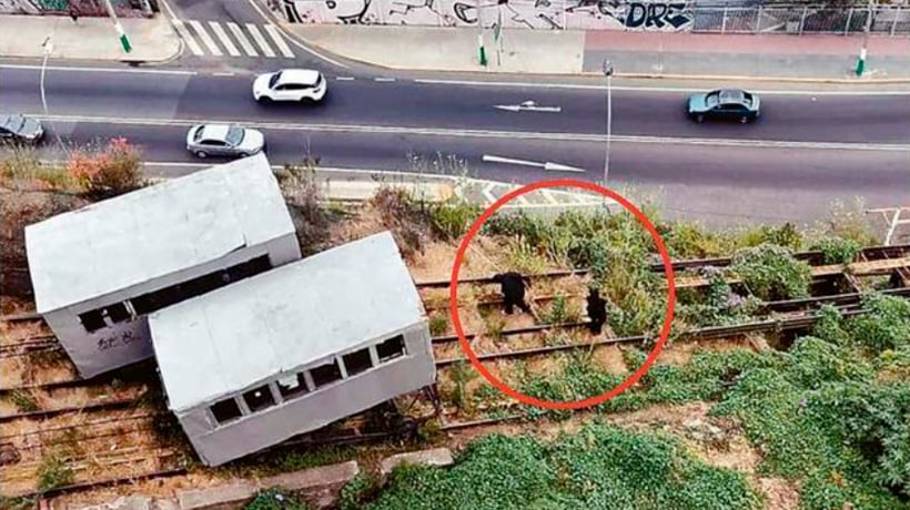 Dañan ascensor Artillería y CMN prepara informe por intervención en Mariposas