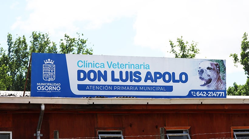 “Sería un tremendo retroceso”: Cuestionan eventual cierre de veterinaria municipal “Don Luis Apolo” en Osorno