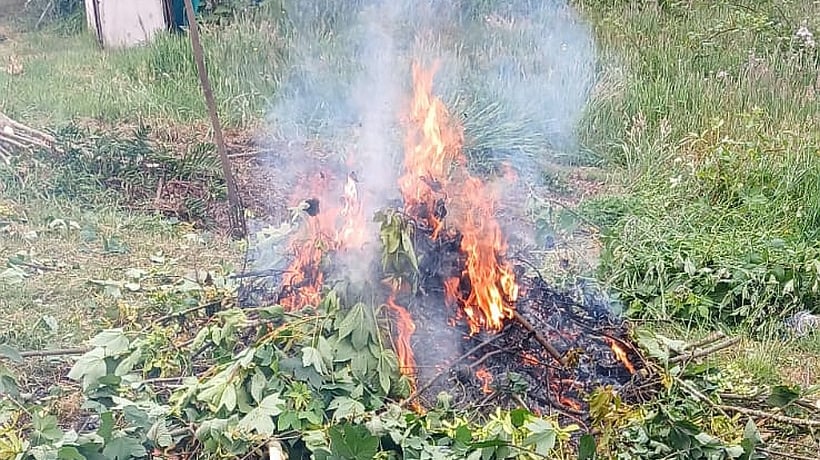 Detuvieron a un hombre por quema ilegal en sector Panitao de Puerto Montt