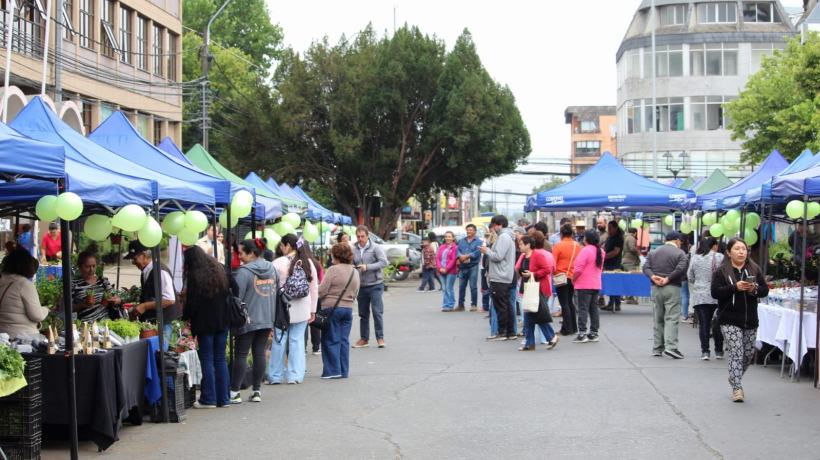 “Feria Campesina Biobío” de Los Ángeles cumplió un año: se desarrollaron 47 encuentros agrícolas