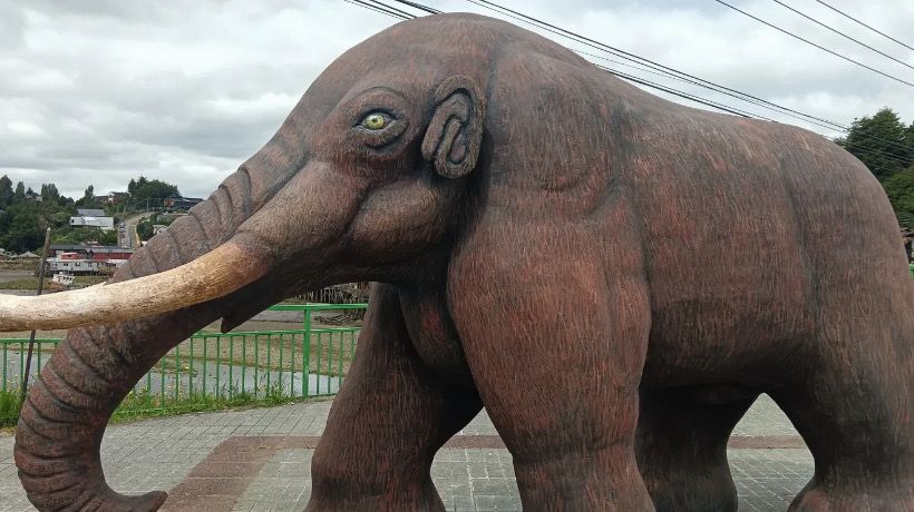 Rompen colmillo de escultura de Gonfoterio en menos de un día de instalación