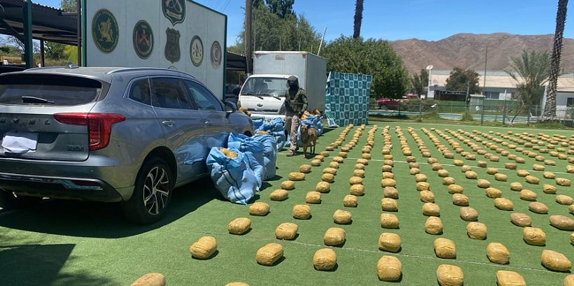 En prisión preventiva quedaron siete imputados por narcotráfico: fueron detenidos con una tonelada de marihuana en ruta cerca de Caldera
