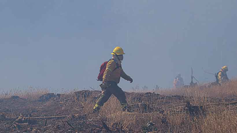 “Es sumamente importante”: refuerzan llamado a prevenir incendios forestales en la Región de Valparaíso