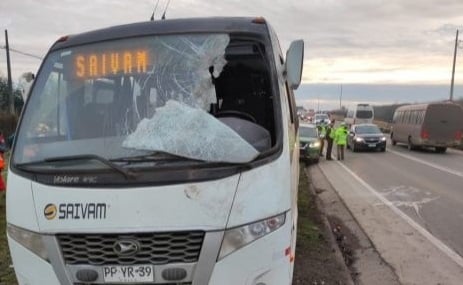 Servicios de transporte gratuito en La Araucanía funcionan con normalidad