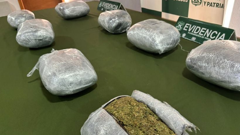 Cabrero: procedimiento policial permitió la detención de dos personas que transportaban droga por la Ruta 5 Sur