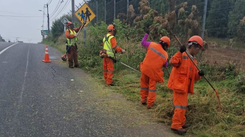 Realizan trabajos de corte de pasto y desmalezado en sectores de Puerta Sur