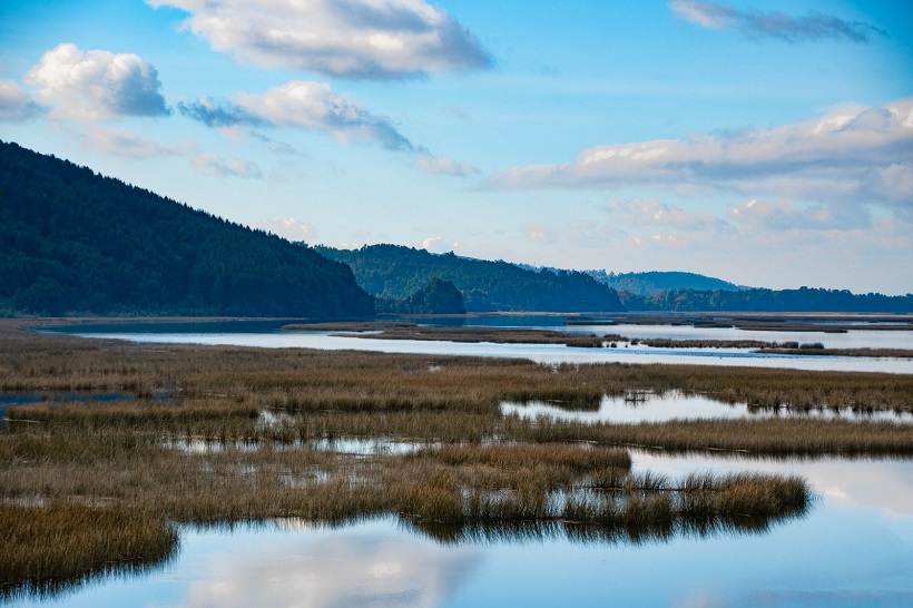 Valdivia conmemora el Día Mundial y la Semana de los Humedales por primera vez como Ciudad Humedal