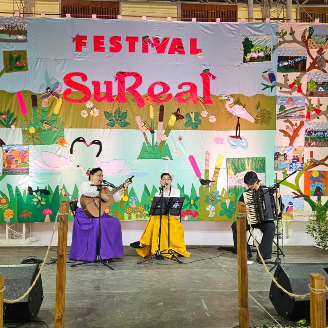 Valdivia: Música en vivo y una feria entre los atractivos que trae el 6° Festival SuReal