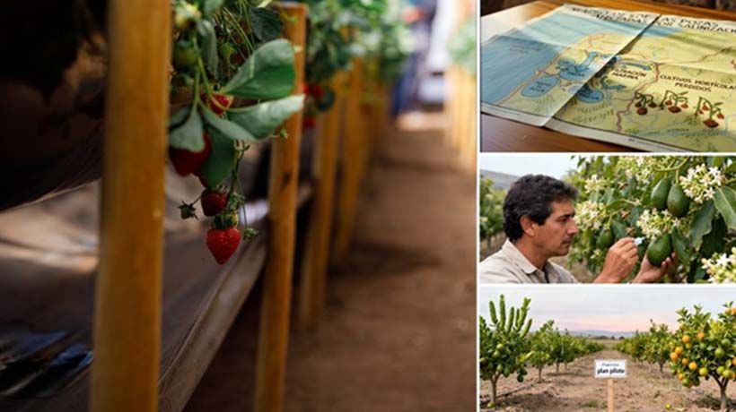 Proyectos de Fundación FIA representan un tercio de la inversión en innovación de MINAGRI en Valparaíso