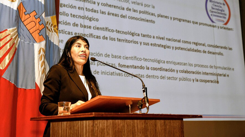 Gobierno dijo que se identificó a tres personas como líderes de la agresión a la ministra Lincolao