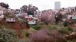 Corte ordenó al municipio de Valparaíso recuperar áreas verdes tomadas en Cabritería