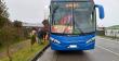 Bus con destino a Puerto Montt transportaba 285 kilos de locos de manera ilegal