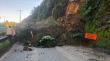 San Juan de la Costa: deslizamiento de tierra interrumpe tránsito en ruta que une Bahía Mansa y Maicolpué