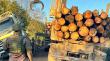 Más de 120 personas han sido detenidas por robo de madera este 2022 en La Araucanía