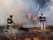Mantienen alerta temprana preventiva por incendios forestales en la Región de Valparaíso