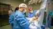 Realizan primera cirugía para pacientes con Parkinson en el Hospital de Puerto Montt